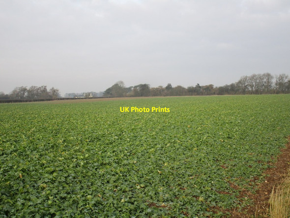 Photo 6"x4" View towards Gate Cottage Middleton on-the-Wolds c2015