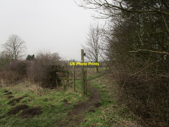 Photo 6"x4" Footpath to Middleton Middleton on-the-Wolds c2015