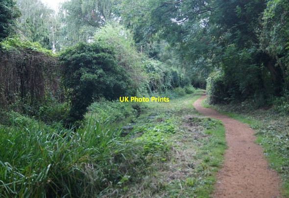 Photo 6"x4" Path by Hobson's Brook Cambridge\/TL4658 c2014