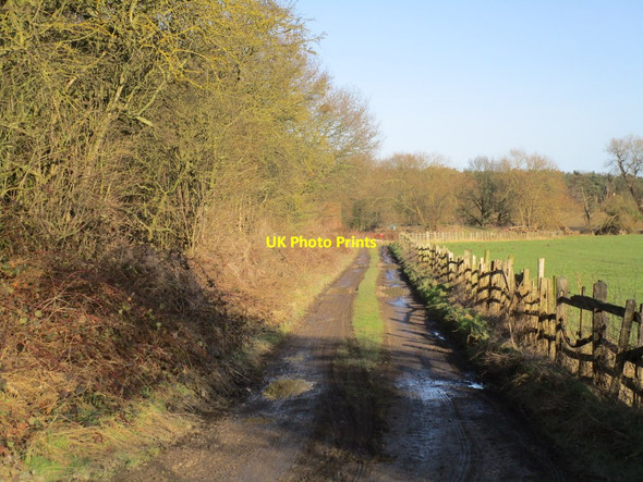 Photo 6"x4" Track alongside the railway Bothamsall c2015