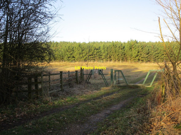 Photo 6"x4" Entrance to Bevercotes Country Park Markham Moor c2015