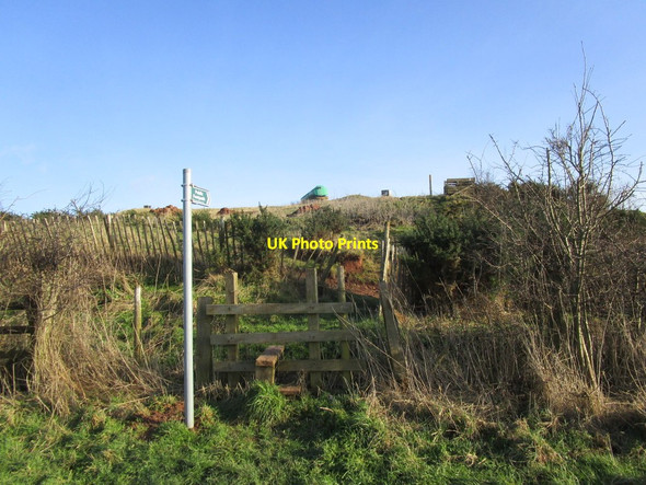 Photo 6"x4" The beginning of a footpath near Bevercotes Haughton\/SK6772 c2015