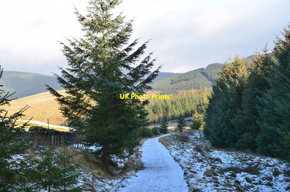 Photo 6"x4" Track on Mailingsland Hill Peebles\/NT2540 c2015