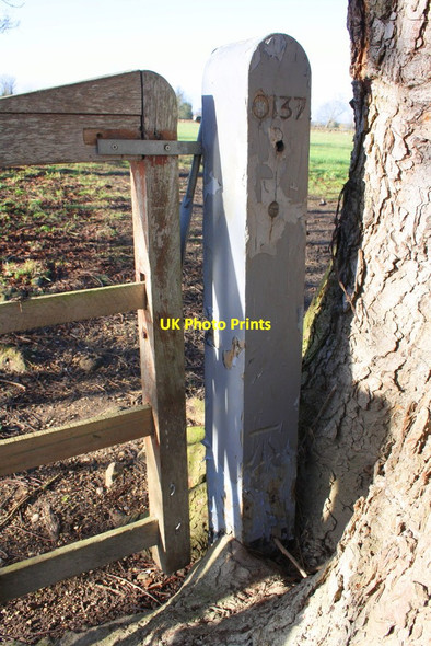 Photo 6"x4" Thames Path gatepost with benchmark Bridge End\/SU5793 c2015