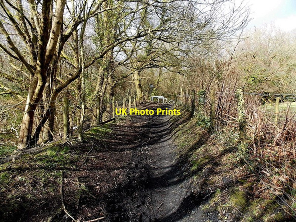 Photo 6"x4" Track from Blaennantygroes Road to the Railway Path, Cwmbach Aberdare\/Aberdar c2014
