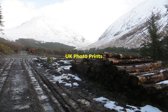 Photo 6"x4" The road end, Glen Creran Corbhainn c2015