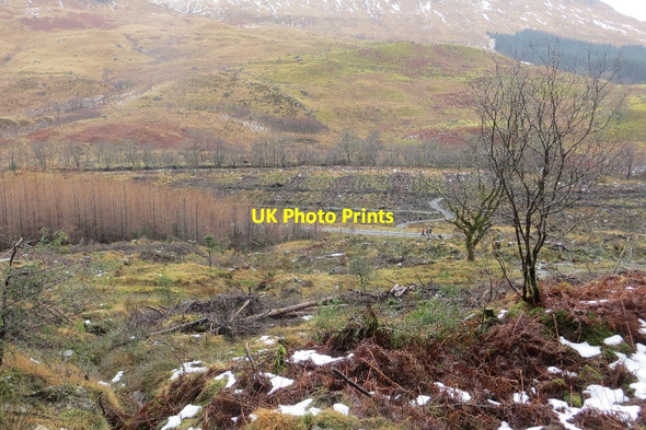 Photo 6"x4" Clear felled area, Glen Creran Glen Creran\/NN0550 c2015