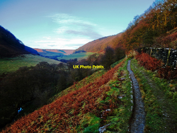 Photo 6"x4" Horcum Slack Levisham c2015