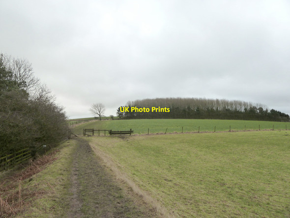 Photo 6"x4" Footpath on Harrock Hill High Moor\/SD5011 c2015