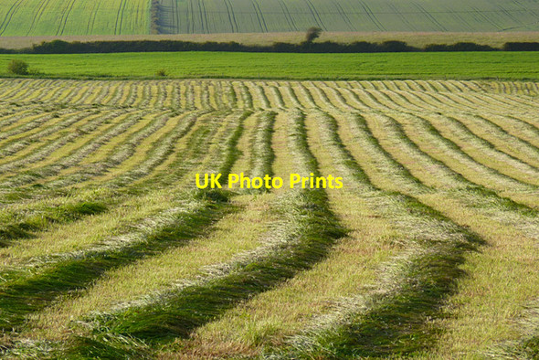 Photo 6"x4" Farmland, Aspatria Aspatria c2011