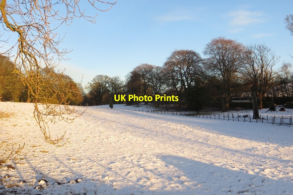 Photo 6"x4" Parkland, Bonnytoun House Linlithgow c2015