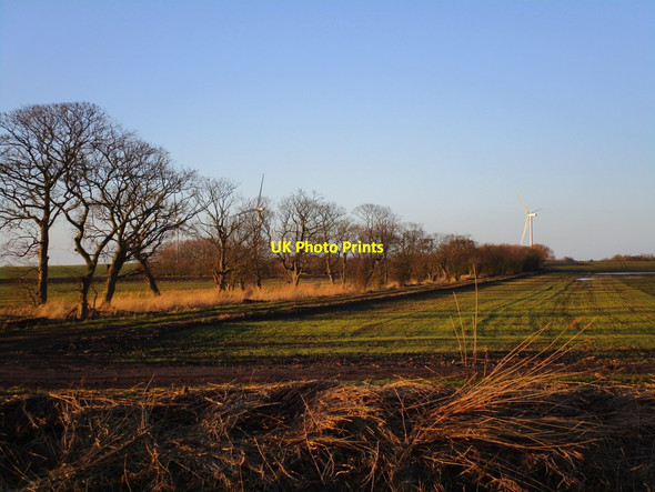 Photo 6"x4" Looking towards Black Bank Halsham c2015