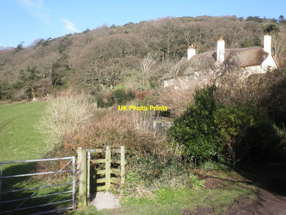 Photo 6"x4" Thatched house, below Allerford Plantation Allerford\/SS9047 c2015