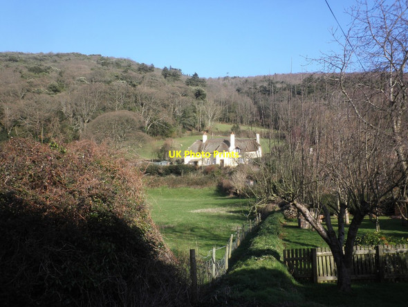 Photo 6"x4" Thatched house, Higher Allerford Allerford\/SS9047 c2015
