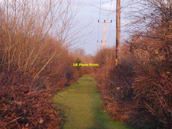 Photo 6"x4" Footpath by the railway to Willington at sunset Willington\/SK2928 c2015