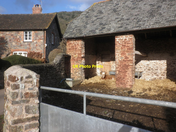 Photo 6"x4" Cattle byre, Brandish Street Farm Brandish Street c2015