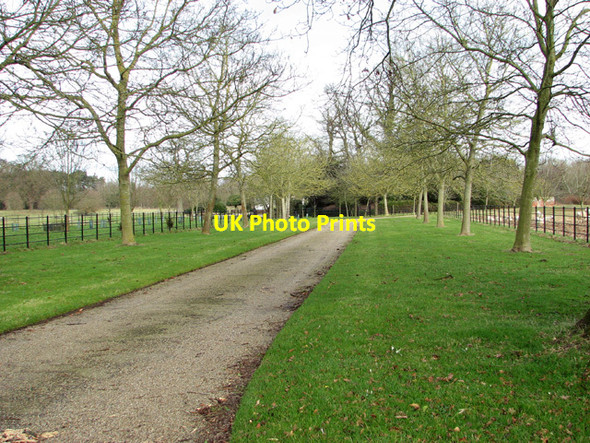 Photo 6"x4" Access road to Bergh Apton Manor Bergh Apton c2015