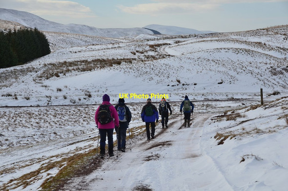 Photo 6"x4" Track to Garvald West Linton c2015