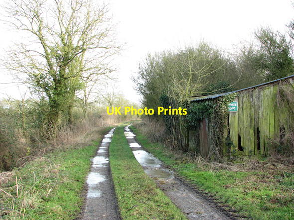 Photo 6"x4" Farm track to Springwood Kirstead Green c2015
