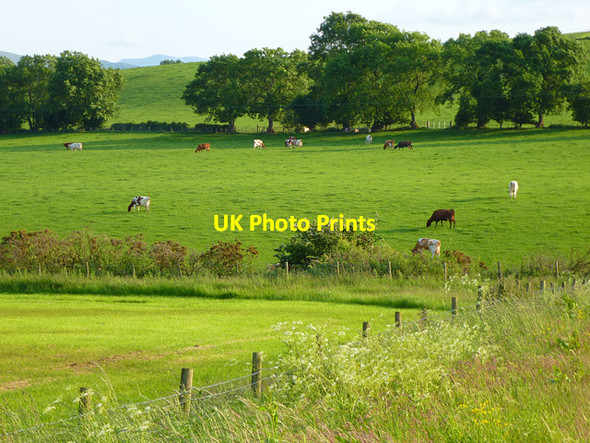 Photo 6"x4" Farmland, Skelton Great Blencow c2013