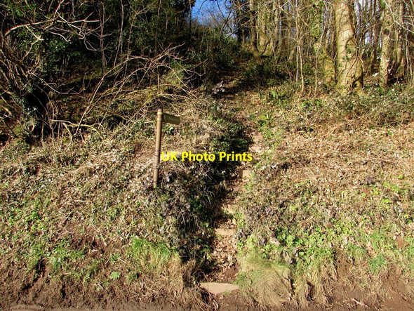 Photo 6"x4" Very steep path to Penyfan from the Whitebrook road Pen-y-fan\/SO5305 c2015