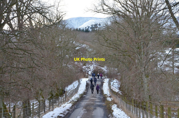 Photo 6"x4" On the minor road from Garvald Dolphinton c2015