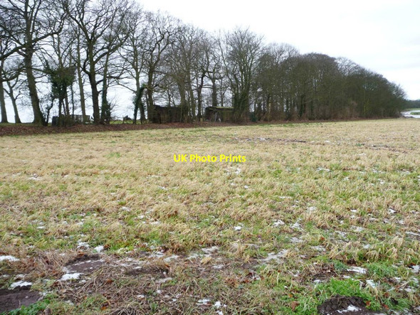 Photo 6"x4" Brook Rein Gateforth c2015