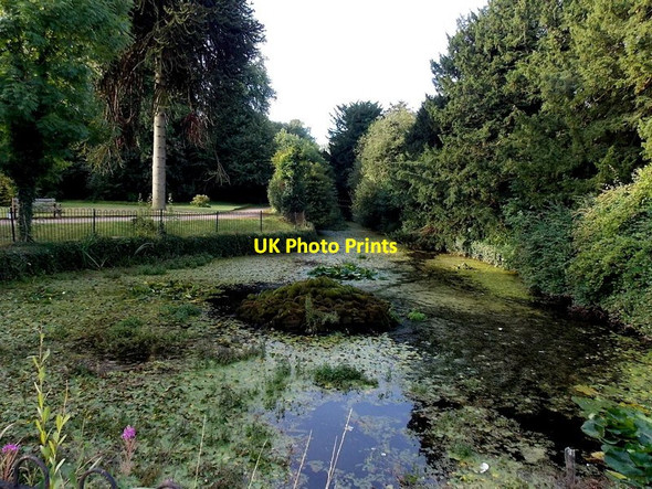 Photo 6"x4" Moat remnant in the grounds of Bosworth Hall, Market Bosworth Market Bosworth c2014