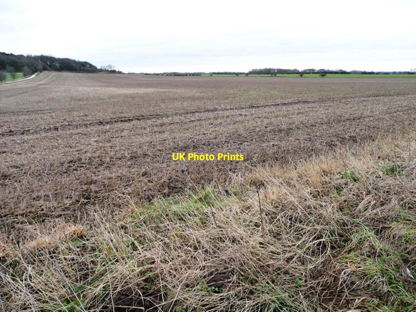 Photo 6"x4" Stubble field on the southern edge of Hambleton Hambleton\/SE5530 c2015