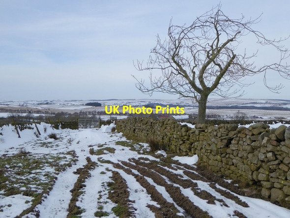 Photo 6"x4" Track and wall approaching Low Ramshaw Coanwood c2015