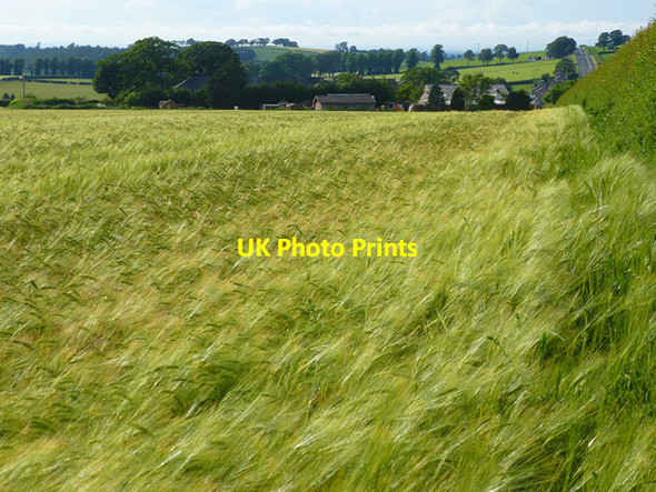 Photo 6"x4" Farmland, Hesket Low Hesket c2014
