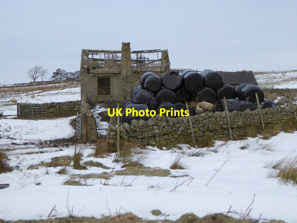 Photo 6"x4" Ruined cottage below High Ramshaw Coanwood c2015