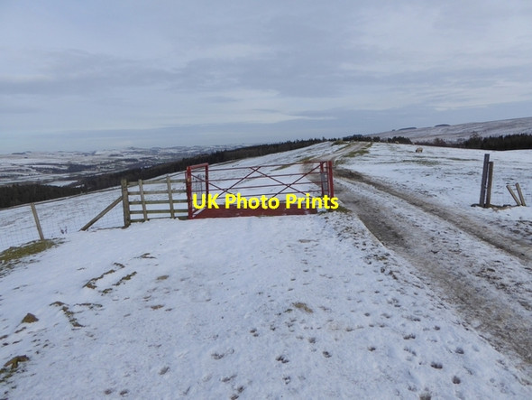 Photo 6"x4" Hirst Top Plenmeller c2015