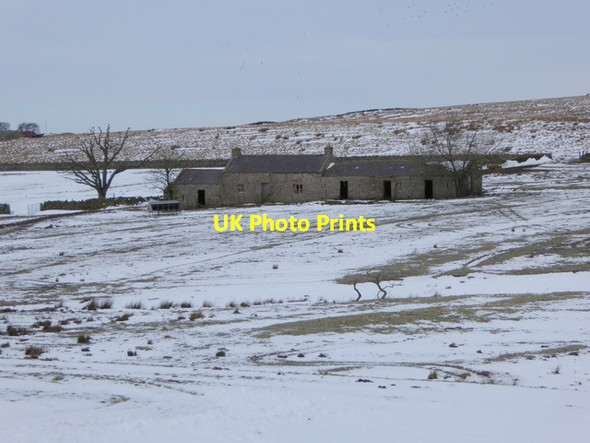 Photo 6"x4" Low Todhillwood Coanwood c2015