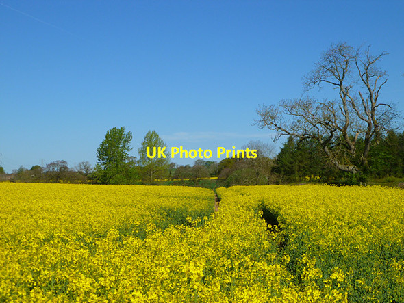 Photo 6"x4" Farmland, Hesket Plumpton\/NY4937 c2011