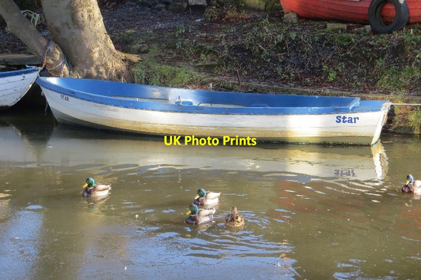 Photo 6"x4" Union Canal, Merchiston Dalry\/NT2372 c2015