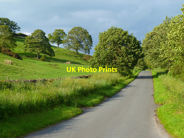 Photo 6"x4" A road, Lazonby Longdales c2011