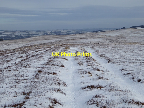 Photo 6"x4" Track on Plenmeller Common Plenmeller c2015