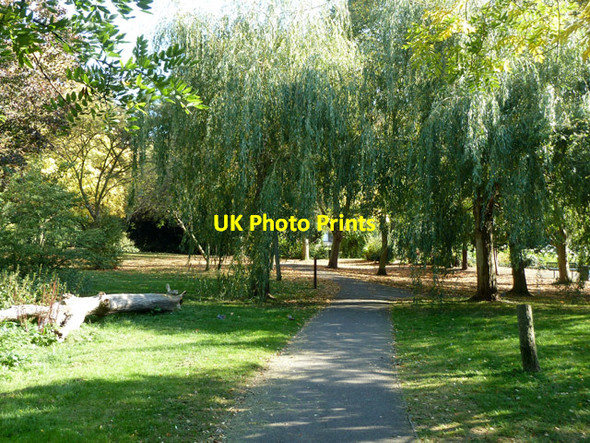 Photo 6"x4" Path, Brenchley Gardens Honor Oak c2011