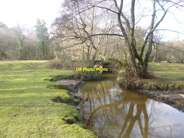 Photo 6"x4" Matley Passage Ashurst\/SU3310 c2015