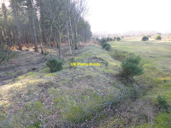 Photo 6"x4" Denny Inclosure, embankment & ditch Clayhill\/SU3007 c2015