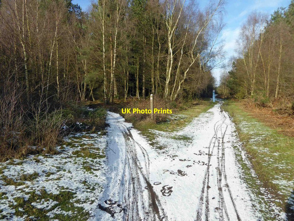 Photo 6"x4" Sherwood Pines Forest Park bike trails junction Bilsthorpe c2015