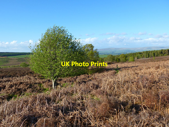 Photo 6"x4" Wan Fell, Penrith Brockleymoor c2013