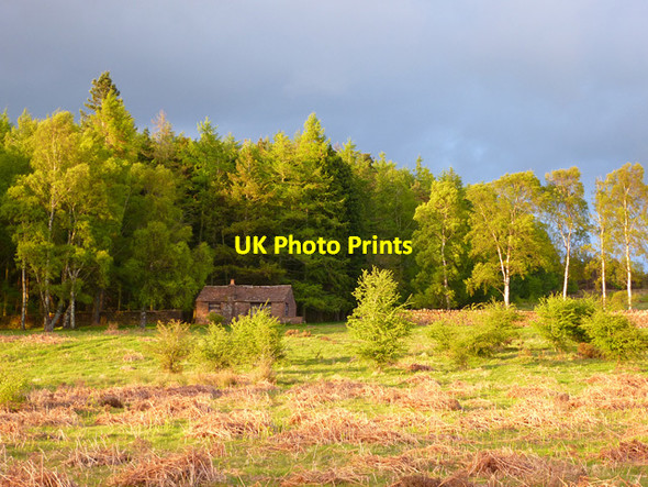 Photo 6"x4" Lazonby Fell, Lazonby Plumpton\/NY4937 c2013