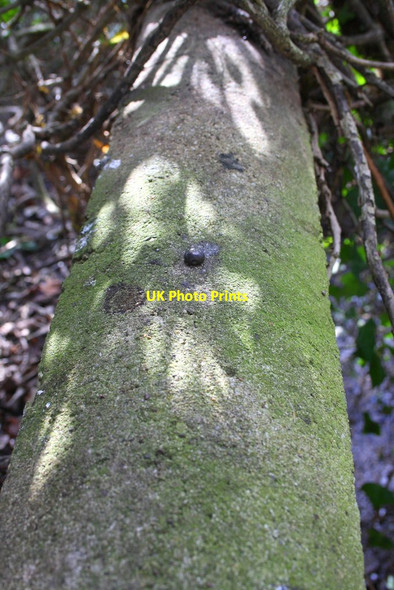 Photo 6"x4" Benchmark on culvert near Lower Grange Drayton St Leonard c2015