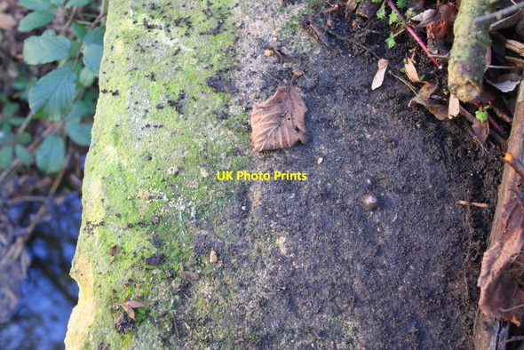 Photo 6"x4" Benchmark on culvert beside A329 Brookhampton\/SU6098 c2015