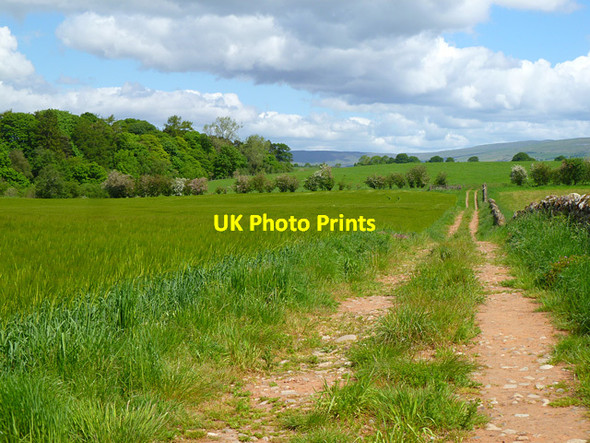 Photo 6"x4" Track and farmland, Skirwith, Culgaith Winskill c2012