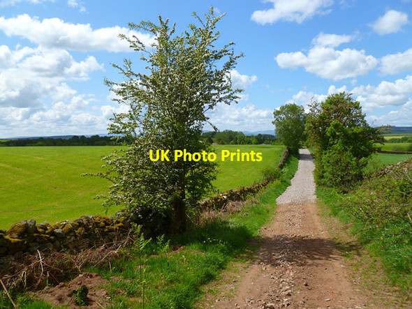 Photo 6"x4" Track and farmland, Skirwith, Culgaith Crewgarth c2012