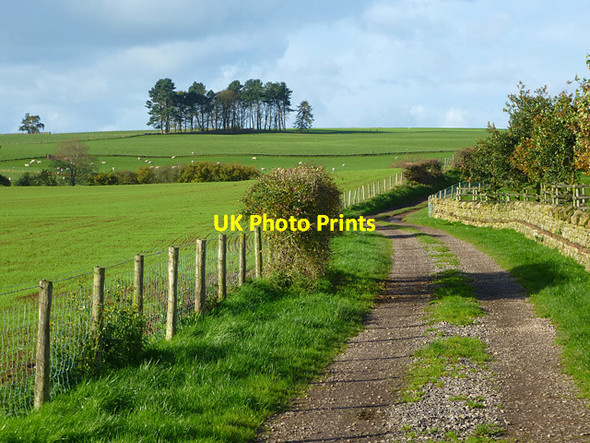 Photo 6"x4" Byroad and farmland, Melmerby, Ousby Melmerby\/NY6137 c2013