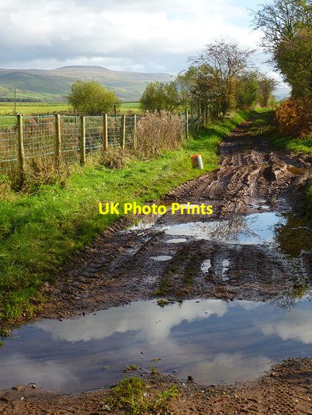 Photo 6"x4" Track, Ousby Hunsonby c2013